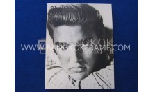 กรอบลอยภาพเอลวิส